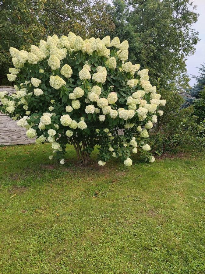 Magnolia Gospodarstwo Agroturystyczne Kazimierz Dolny Exterior photo